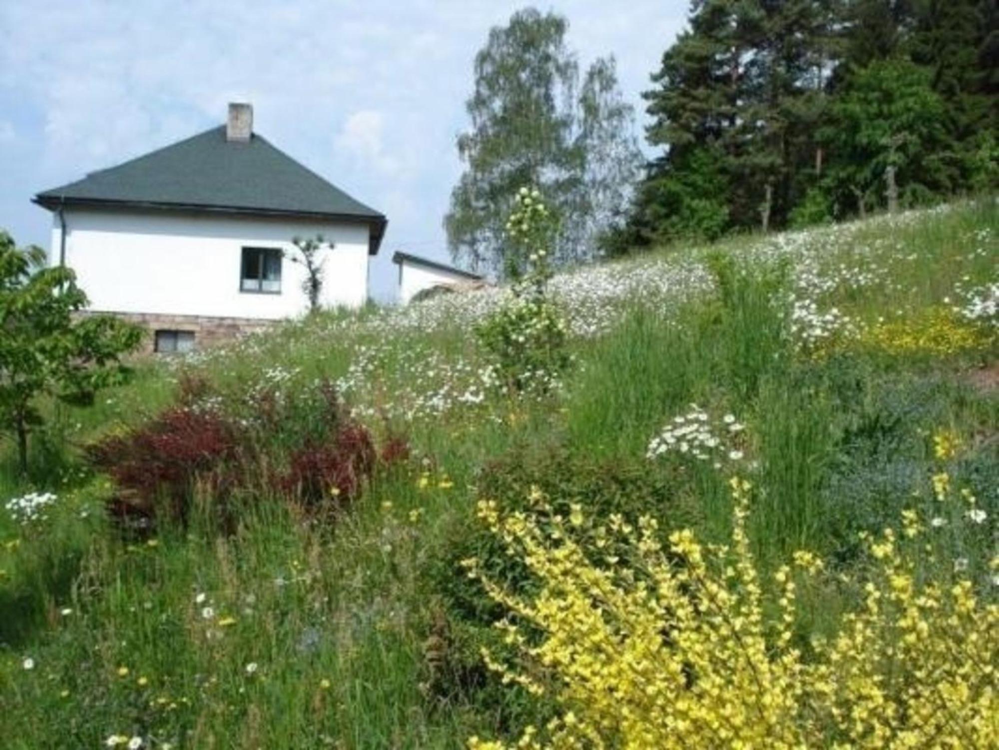 Ein Ferienhaus Mit Terrasse Und Garten Villa Male Svatonovice Kültér fotó